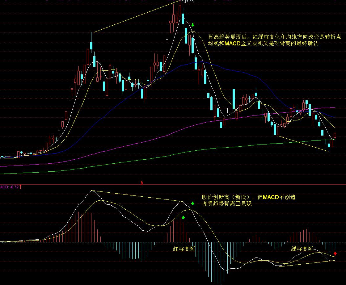 全球最强独角兽诞生！OpenAI拟出售60亿美元员工股权，估值达5000亿美元