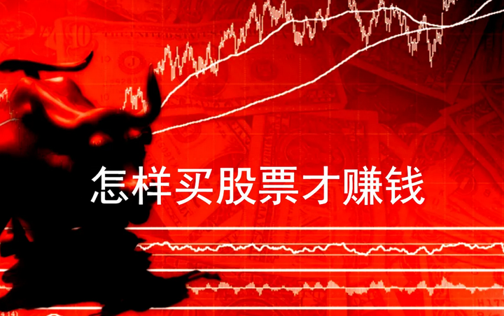 优服务强支撑  湛江市构建“近悦远来”人才生态