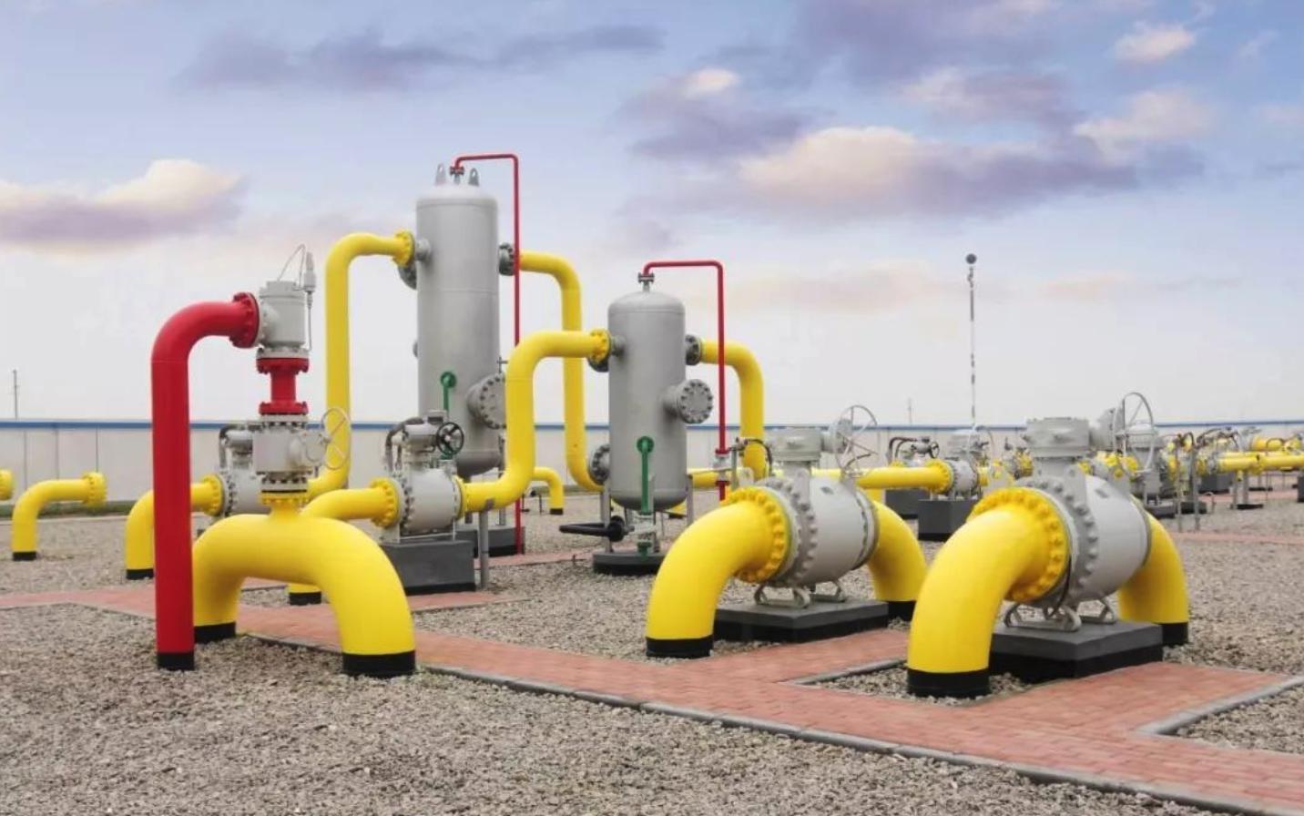 熊海峰教授走进广东塔牌集团股份有限公司开展2025院士专家入百企进百校（梅州行）活动